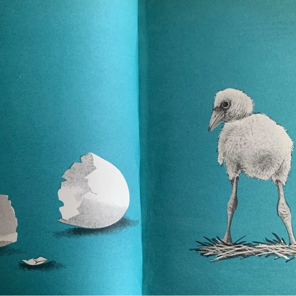 Whose Little Bird Am I? Vintage Collectible Rare Book by Leonard Weisgard 1970s - Picture 5 of 5